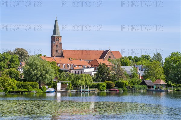 Cathedral of Saint Peter and Paul, Cathedral Island, Brandenburg an der Havel, Brandenburg, Germany, Europe