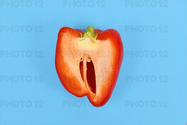 Open red bell pepper on blue background