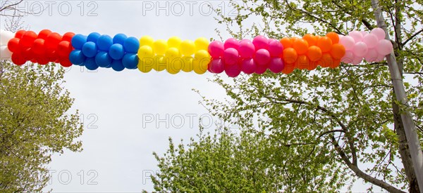 Colorful balloons in air between trees