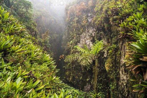 Ravine at La Soufriere Volcano, Basse-Terre, Guadeloupe, France, North America