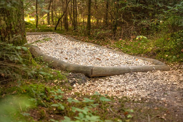 Barefoot Park in the Forest, Schoemberg, Black Forest, Germany, Europe