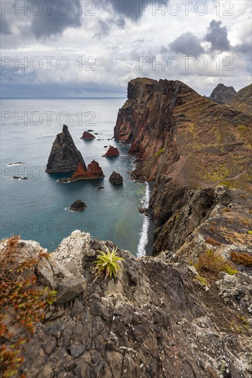 Coastal landscape, cliffs and sea, Miradouro da Ponta do Rosto, rugged coast with rock formations, Cape Ponta de Sao Lourenco, Madeira, Portugal, Europe