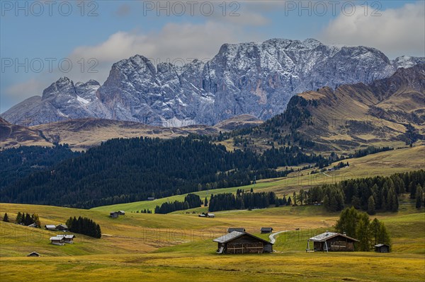 Autumnal alpine meadows and alpine huts on the Alpe di Siusi, behind the snow-covered mountains of the Catinaccio, Val Gardena, Dolomites, South Tyrol, Italy, Europe