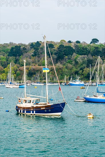 Yachts and Boats over River Dart, Kingswear from Dartmouth, Devon, England, United Kingdom, Europe