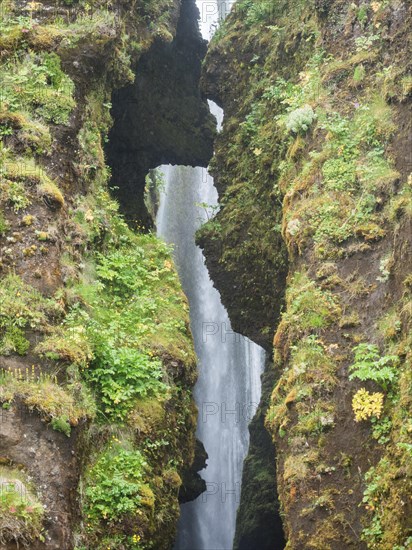 Gljufrabui waterfall in a gorge, near Hamragardar, South Iceland, Iceland, Europe