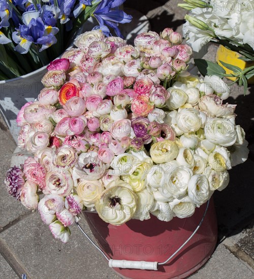 Fresh colorful Flowers put in vases at the florists