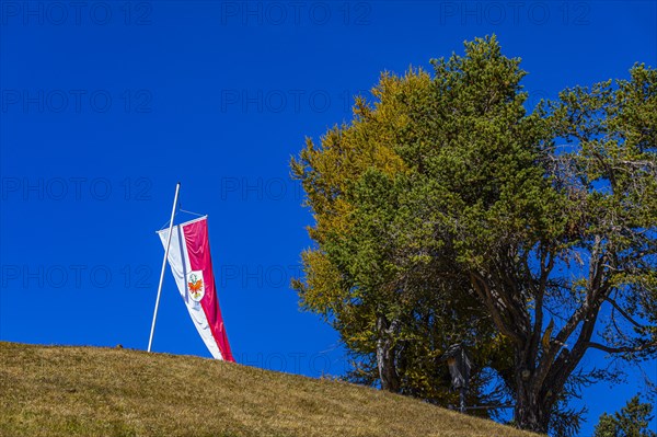 The South Tyrolean flag flies over an autumnal meadow hill, Alpe di Siusi, Val Gardena, Dolomites, South Tyrol, Italy, Europe