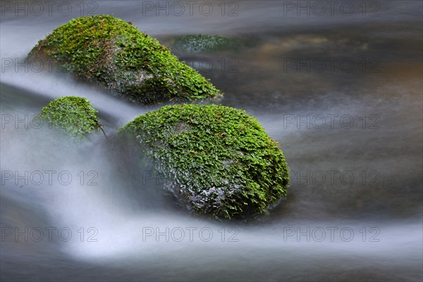 Mountain stream in the Bavarian Forest National Park, close-up with snow, ice, flow. Bavaria, Germany, Europe