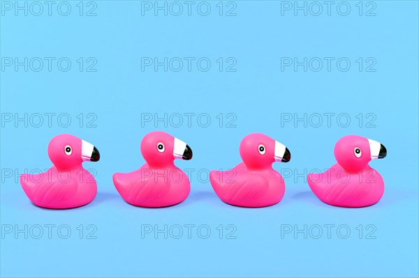Four pink rubber duck flamingos in a row on blue background with copy space