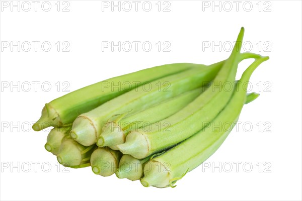 Fresh green okra