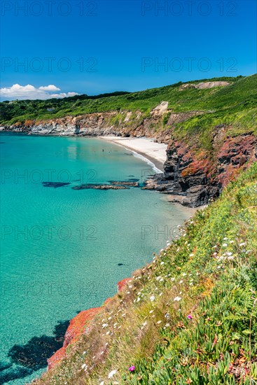 Kenneggy Cove, South West Coast Path, Penzance, Cornwall, England, United Kingdom, Europe