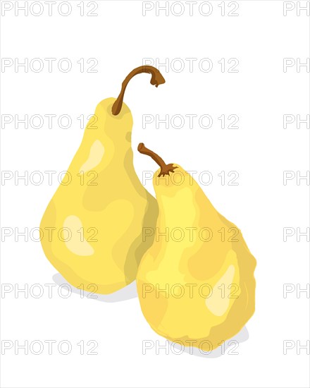 Two golden pears over white, vector illustrtion