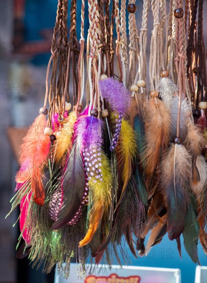 Beautiful bird feathers for decorative purposes