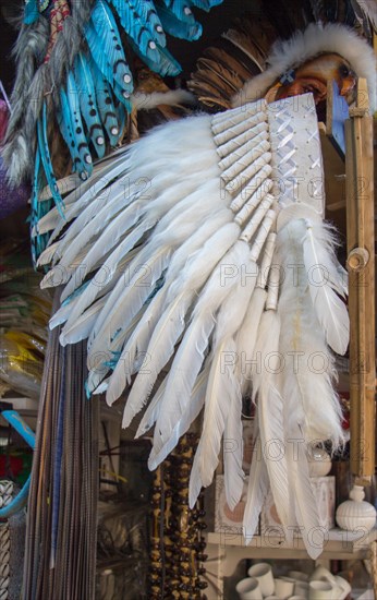 Beautiful bird feathers for decorative purposes