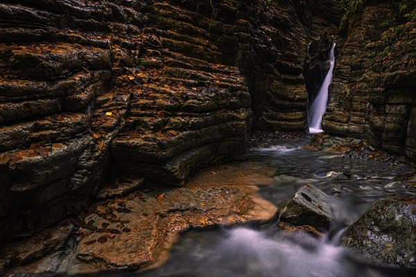 The Taugl in the Davidgraben, Red Canyon, Tennegau, Salzburger Land, Austria, Europe