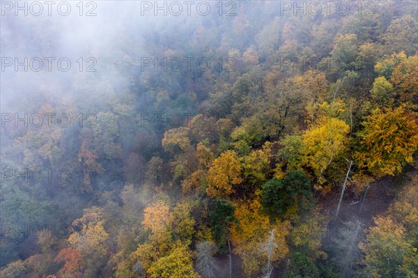 Foggy atmosphere, autumnal forest, aerial view, Thayatal, Hardegg, Lower Austria, Austria, Europe