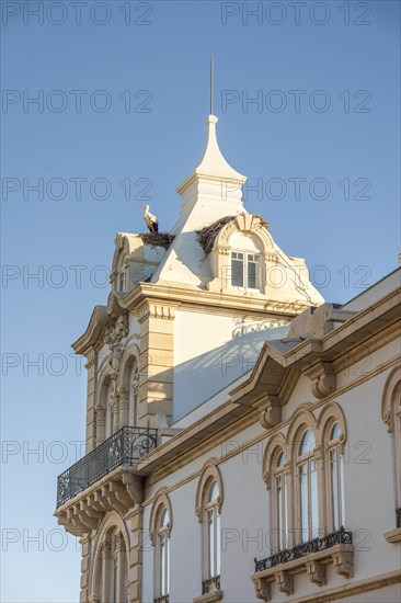 Stork on the tower of Belmarco Palace, landmark in Faro, Algarve, Portugal, Europe