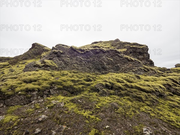 Tjarnargigur crater landscape, moss-covered volcanic landscape, Laki crater landscape, highlands, South Iceland, Suourland, Iceland, Europe