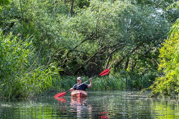 Paddler in a kayak in a branch of the Havel, Brandenburg an der Havel, Brandenburg, Germany, Europe