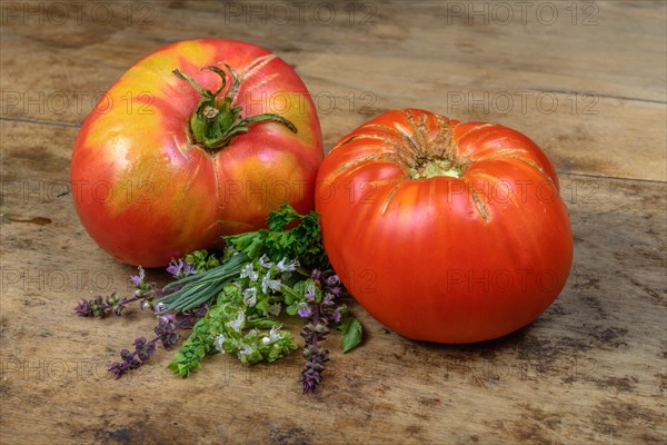 Ancient tomatoes variety and aromatic herbs on old wooden background in a kitchen.Alsace, France, Europe