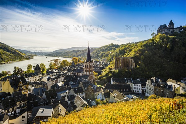Vineyards and town, St. Peters Parish Church and church ruins of Werner Chapel and Stahleck Castle, Bacharach, Upper Middle Rhine Valley, UNESCO World Heritage Site, Rhine, Rhineland-Palatinate, Germany, Europe