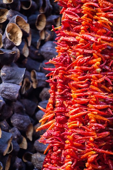 Dried peppers and aubergines and colourful spices in the Spice Market