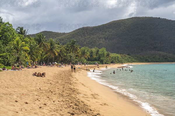 At the beach Plage de Grande Anse near Deshaies in the north of Basse-Terre, Guadeloupe, France, North America