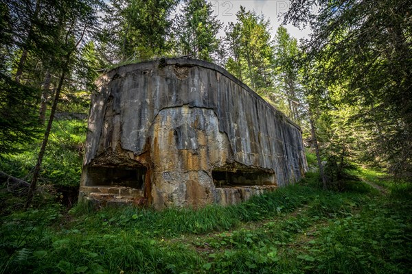 Abandoned, destoyed concrete bunker with embrasure in summer forest.Entrance to the bunker. Dolomites, Italy, Dolomites, Italy, Europe