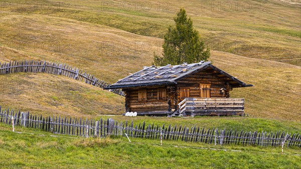 Alpine hut in autumnal alpine meadow, surrounded by a wooden picket fence, Alpe di Siusi, Val Gardena, Dolomites, South Tyrol, Italy, Europe