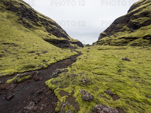 Tjarnargigur crater landscape, moss-covered volcanic landscape, Laki crater landscape, highlands, South Iceland, Suourland, Iceland, Europe