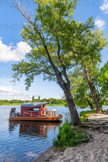 Man sitting on a houseboat, house raft, in front of the island Kiehnwerder, Breitlingsee, Brandenburg an der Havel, Havelland, Brandenburg, Germany, Europe