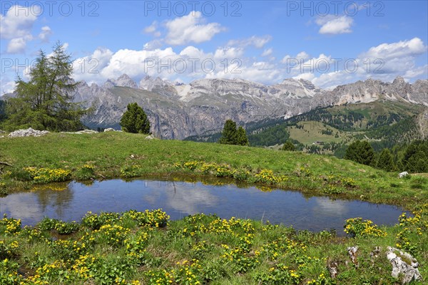 Sella Pass, pond with mountain panorama, South Tyrol, Italy, Europe