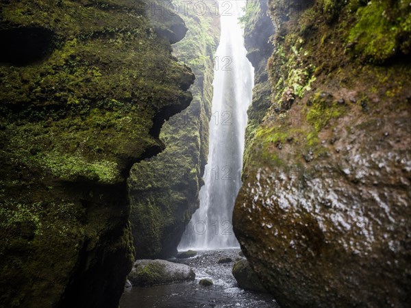 Gljufrabui waterfall in a gorge, near Hamragardar, South Iceland, Iceland, Europe