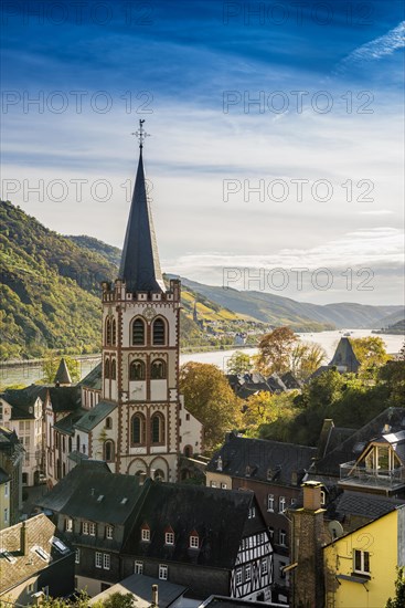 Vineyards and town, St. Peters Parish Church, Bacharach, Upper Middle Rhine Valley, UNESCO World Heritage Site, Rhine, Rhineland-Palatinate, Germany, Europe