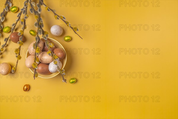 Palm catkin with Easter decoration, eggs, yellow background, copy room