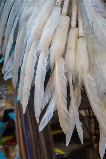 Beautiful bird feathers for decorative purposes