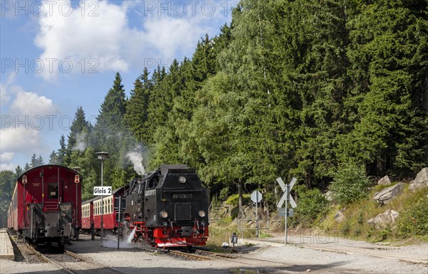 Steam train, Brockenbahn, narrow-gauge railway, Brocken, Harz, Saxony-Anhalt, Germany, Europe