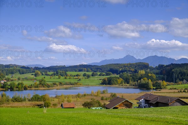 Froschhauser See near Froschhausen, Pfaffenwinkel, Upper Bavaria, Bavaria, Germany, Europe