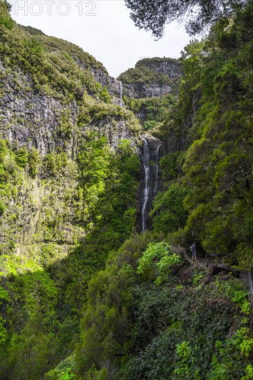 Waterfall, Green Forest and Mountains of Rabacal, Paul da Serra, Madeira, Portugal, Europe