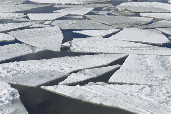 Floating ice sheets, Chateauguay River, Province of Quebec, Canada, North America