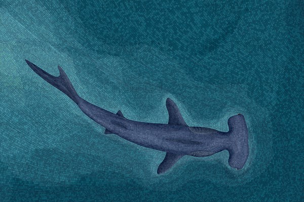 Hammerhead shark graphic mosiac wallpaper, editable vector illustration