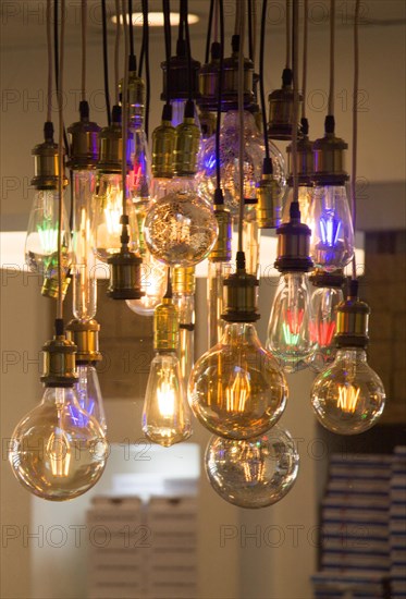 Decorative style filament light bulbs in view