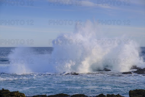 Surf, strong ocean waves, rocks, Schietkliff, Tsitsikamma National Park coast, Garden Route, Eastern Cape, South Africa, Africa