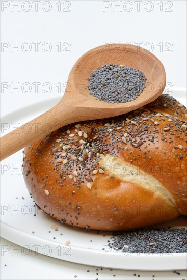 Buns with poppy seeds, linseeds and sesame seeds, pretzel roll with blue poppy seeds in cooking spoon