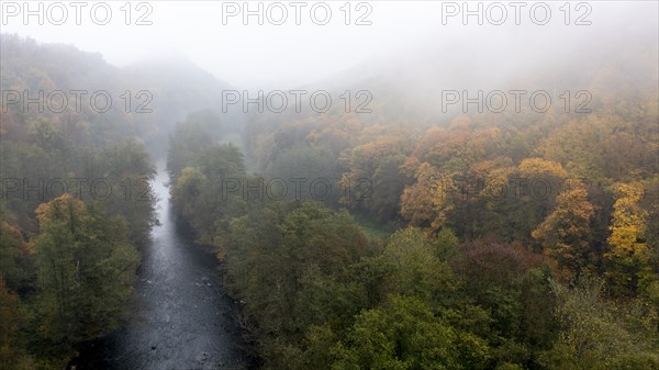 Foggy atmosphere, River Thaya in autumn, National Park Thayatal, Hardegg, Lower Austria, Austria, Europe