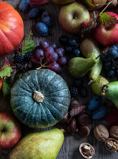 Fruit, autumn, pumpkin, grape, pear, apple, plum, walnut, chestnut, sweet, tasty, blackberry, healthy, fit