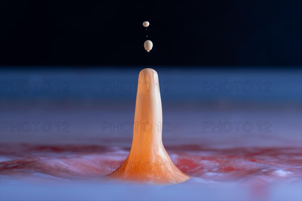 Macro Photography Water Drops