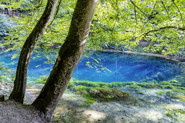 Blautopf, source of the blue, excursion destination in the Swabian Alb, Blaubeuren, Baden-Wuerttemberg, Germany, Europe