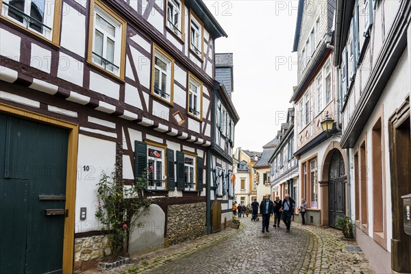 Half-timbered houses, Eltville, Rhine, Rheingau, Hesse, Germany, Europe