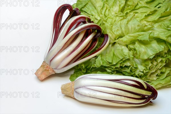 Radicchio in front of endive, Cicorino rosso Tardivo